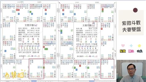 蔡添逸收費|蔡添逸國際紫微八字風水權威